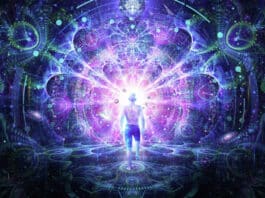 PORTAL 12/12 – Otključavanje svjetlosnih kodova DNK, oživljavanje stanične memorije i uspavanih sposobnosti