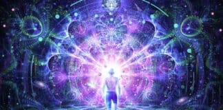 PORTAL 12/12 – Otključavanje svjetlosnih kodova DNK, oživljavanje stanične memorije i uspavanih sposobnosti