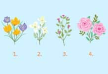 Odaberite cvijet i saznajte što vas očekuje u VELJAČI/FEBRUARU 2026.