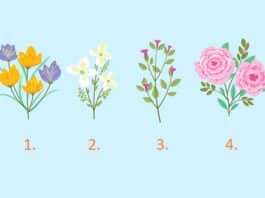 Odaberite cvijet i saznajte što vas očekuje u VELJAČI/FEBRUARU 2026.