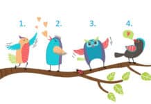 Test: Odaberite pticu i otkrijte što vam sudbina sprema u veljači/februaru