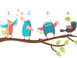 Test: Odaberite pticu i otkrijte što vam sudbina sprema u veljači/februaru