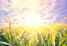 PROLJETNA RAVNODNEVICA – Prilika da krenemo ispočetka