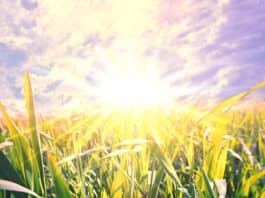 PROLJETNA RAVNODNEVICA – Prilika da krenemo ispočetka