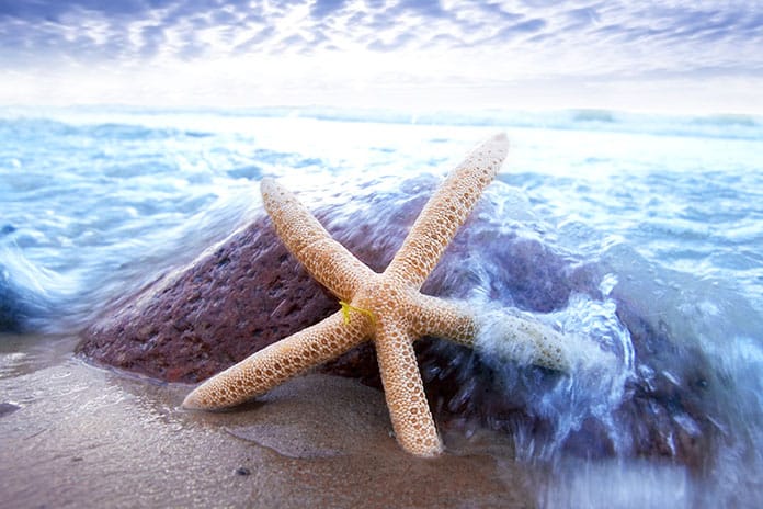 Vacation conceptual image.