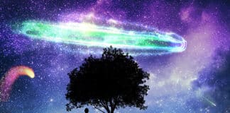 Nalazimo se u prijelaznom vremenu – Upozorenja i pretkazanja nas pripremaju na veliku promjenu