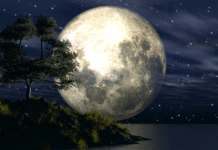 Pun Mjesec u Blizancima – razgovor koji mijenja tijek događaja