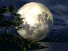 Pun Mjesec u Blizancima – razgovor koji mijenja tijek događaja