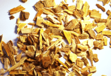 Vrbina kora – prirodni aspirin: Evo kako je možete koristiti!