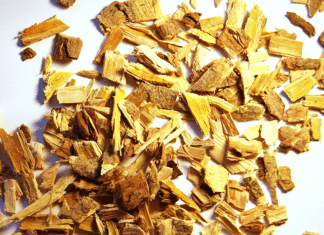 Vrbina kora – prirodni aspirin: Evo kako je možete koristiti!