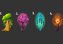 Odaberite čarobno stablo i otkrijte u kojem smjeru ide vaš život