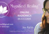 Radionica Magnified Healing®