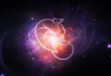 Povezanost karme, načina začeća i trudnoće sa sudbinom djeteta