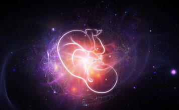 Povezanost karme, načina začeća i trudnoće sa sudbinom djeteta