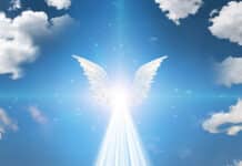 TEST: Odaberite sliku i primite poruku anđela za idući mjesec!