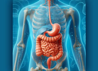 Iritabilno crijevo, propusna crijeva i Panaceo Med Darm-Repair