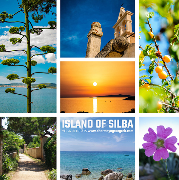 2 otok silba dharma yoga zagreb summer retreats island of silba photo kristijan kolega 2022 orig