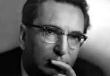 Viktor E. Frankl: “Život nikad nije nepodnošljiv zbog okolnosti, već samo zbog nedostatka smisla i svrhe.” – 70 citata koji će vam promijeniti perspektivu