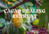Cacao healing retreat