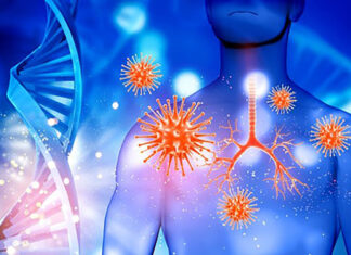 OVO su zapravo 3 jedina razloga zašto starimo i obolijevamo – EVO kako ih spriječiti – ANTI-AGE formula