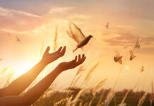 Život ti ima toliko toga dati, otvori mu se…