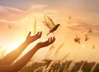 Život ti ima toliko toga dati, otvori mu se…