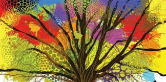 Konstelacije SIKON s Vedranom Kraljetom