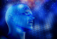 Živimo u svijetu koji je pod hipnozom lijeve hemisfere mozga – i zato se osjećamo izgubljeno!