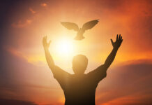 Ne daj da te naviknu na mrak