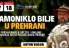 Anton Rudan: SAMONIKLO BILJE U PREHRANI – Predavanje u Atma centru Split & online / Radionica branja podno Peruna