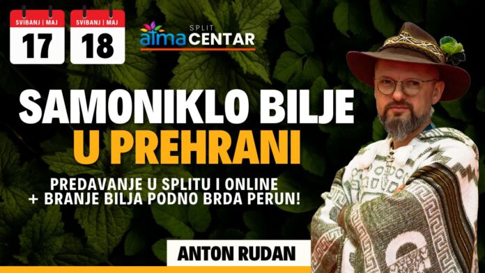 anton rudan radionica 2
