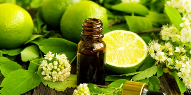 LIMETA