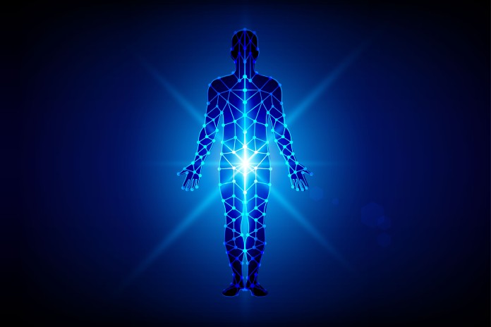 24_05_2016_abstract_body_with_mesh_tech