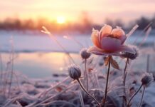 TJEDNI HOROSKOP od 3.11. do 9.11. – Najsretniji znakovi će biti Škorpion, Rak, Jarac