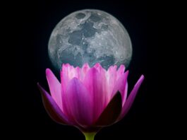 Uštap u Biku – ono nevidljivo u nama uvijek zna istinu