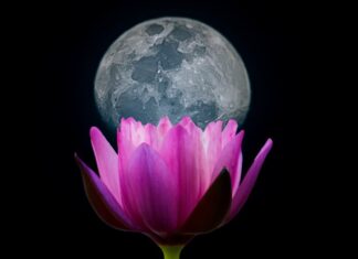 Uštap u Biku – ono nevidljivo u nama uvijek zna istinu