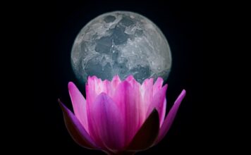 Uštap u Biku – ono nevidljivo u nama uvijek zna istinu