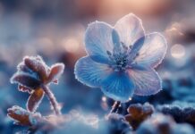 TJEDNI HOROSKOP od 24.11. do 30.11. – Najsretniji znakovi će biti Škorpion, Vaga, Ovan