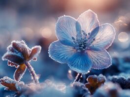 TJEDNI HOROSKOP od 24.11. do 30.11. – Najsretniji znakovi će biti Škorpion, Vaga, Ovan