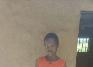 Humanitarna udruga Neprocjenjiv Dar – kada se osobne priče spoje u zajednički cilj