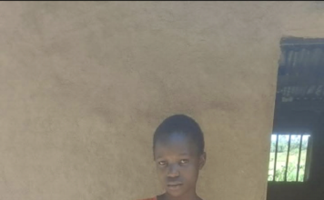 Humanitarna udruga Neprocjenjiv Dar – kada se osobne priče spoje u zajednički cilj