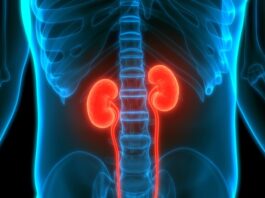 Čišćenje bubrega po metodi Hilde Clark: Prirodni način za otapanje kamenaca u nekoliko tjedana