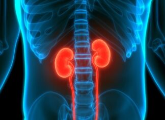 Čišćenje bubrega po metodi Hilde Clark: Prirodni način za otapanje kamenaca u nekoliko tjedana