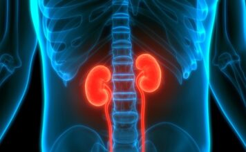 Čišćenje bubrega po metodi Hilde Clark: Prirodni način za otapanje kamenaca u nekoliko tjedana