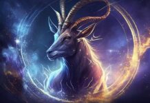 Veliki horoskop za VLADAVINU JARCA (21.12. – 19.1.) – Prognoza za sve znakove Zodijaka