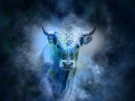 VELIKI GODIŠNJI HOROSKOP ZA BIKA ZA 2026. GODINU – Postavljanje potpuno novih temelja