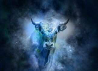 VELIKI GODIŠNJI HOROSKOP ZA BIKA ZA 2026. GODINU – Postavljanje potpuno novih temelja