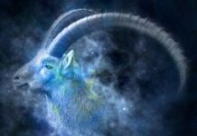 VELIKI GODIŠNJI HOROSKOP ZA JARCA ZA 2026.: Ključna godina za zaradu i obiteljske odluke