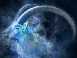 VELIKI GODIŠNJI HOROSKOP ZA JARCA ZA 2026.: Ključna godina za zaradu i obiteljske odluke