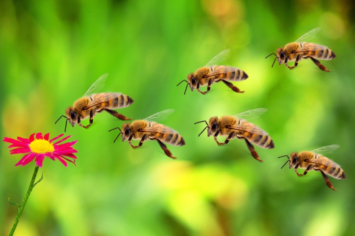 Depositphotos_114218302_XL